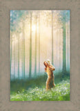 Light Upon His Shoulders