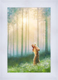 Light Upon His Shoulders