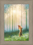 Light Upon His Shoulders