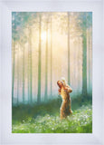 Light Upon His Shoulders