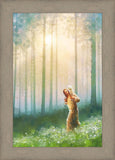 Light Upon His Shoulders