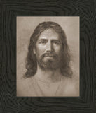 Christ Head Study