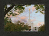 Denver Temple 01