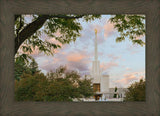 Denver Temple 01