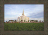 Gilbert Temple 08