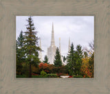 Portland Temple Forest Through The Trees