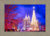 Temple Square Christmas Tree