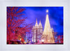 Temple Square Christmas Tree