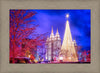 Temple Square Christmas Tree