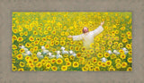 Be Glad and Rejoice