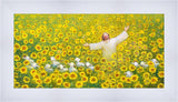 Be Glad and Rejoice
