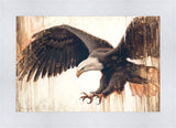 Liberty