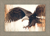 Liberty