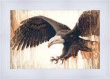 Liberty