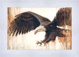 Liberty
