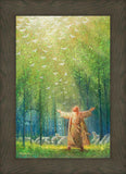 A New Light Shining