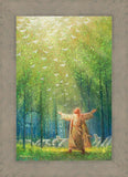 A New Light Shining