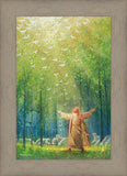 A New Light Shining