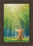A New Light Shining