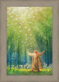 A New Light Shining