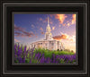 Payson Temple Blooming Lavender