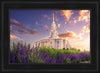 Payson Temple Blooming Lavender