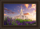 Payson Temple Blooming Lavender