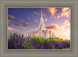 Payson Temple Blooming Lavender