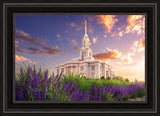 Payson Temple Blooming Lavender