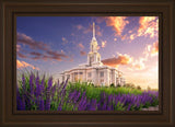 Payson Temple Blooming Lavender