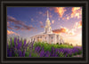 Payson Temple Blooming Lavender