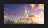 Payson Temple Blooming Lavender