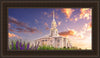 Payson Temple Blooming Lavender