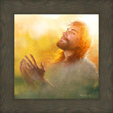 A Perfect Peace