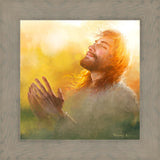 A Perfect Peace
