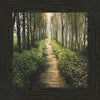 Enjoy The Beauty On Your Broken Path, Forest Walkway