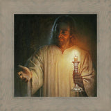 Salt and Light