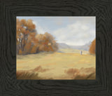 He Cares for His Sheep