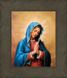 Our Rose of Tepeyac