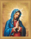 Our Rose of Tepeyac