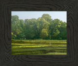 I Retired Into the Woods