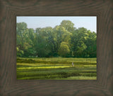 I Retired Into the Woods