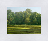 I Retired Into the Woods