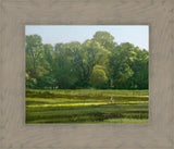 I Retired Into the Woods