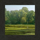 I Retired Into the Woods