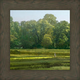 I Retired Into the Woods