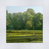 I Retired Into the Woods