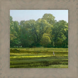 I Retired Into the Woods