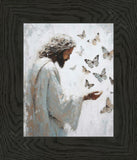 Delicate Wings
