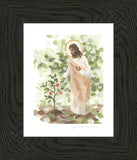 Watching Over His Vineyard